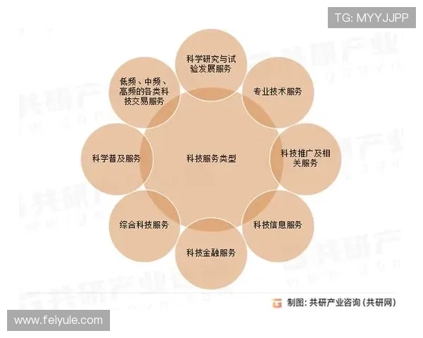 全面解析盈盛国际：行业地位与未来发展前景
